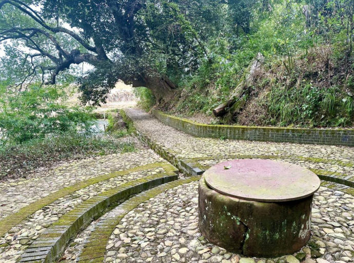 ScreenShot_2026-04-20_092059_106